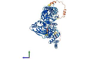 Protein Structure (PS) image for F-Box Protein 11 (FBXO11) (AA 1-846) protein (His tag) (ABIN7557146)