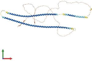 AlphaFold protein structure predicition of Mouse Recombinant Krt6b Protein, UniprotID Q9Z331 (Keratin 6B Protein (KRT6B) (AA 1-562) (His tag))