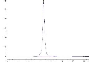 Size-exclusion chromatography-High Pressure Liquid Chromatography (SEC-HPLC) image for Tetraspanin 26 (TSPAN26) (AA 113-240) protein (Fc Tag) (ABIN7274150)