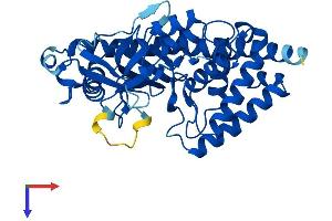 MAB21L1 Protein (AA 1-359) (His tag)