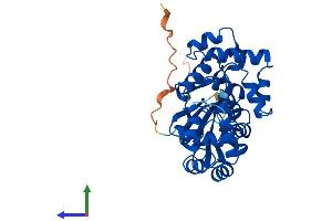Protein Structure (PS) image for 8-Oxoguanine DNA Glycosylase (OGG1) (AA 1-345) protein (His tag) (ABIN7562200)