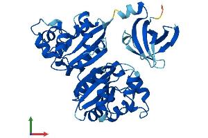Protein Structure (PS) image for Nucleoside Diphosphate Kinase (NME7) (AA 1-376) protein (His tag) (ABIN7549732)