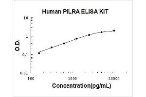 Typical Standard Curve