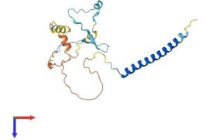 MBD3L1 Protein (AA 1-194) (His tag)
