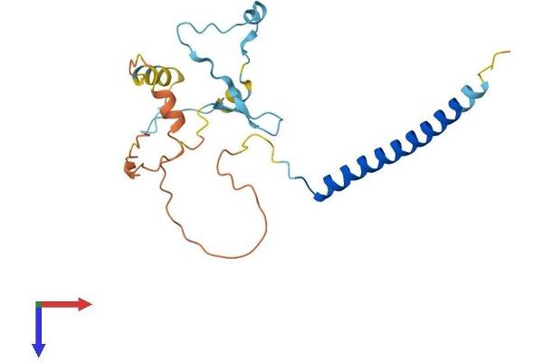 MBD3L1 Protein (AA 1-194) (His tag)