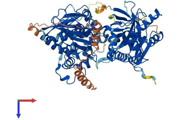 MTRR Protein (AA 1-696) (His tag)