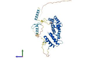 Protein Structure (PS) image for Poly(A) Binding Protein Interacting Protein 1 (PAIP1) (AA 1-400) protein (His tag) (ABIN7559888)