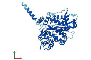 Protein Structure (PS) image for Neutral Cholesterol Ester Hydrolase 1 (NCEH1) (AA 1-408) protein (His tag) (ABIN7558738)