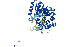 Protein Structure (PS) image for Hydroxysteroid (17-Beta) Dehydrogenase 7 (HSD17B7) (AA 1-341) protein (His tag) (ABIN7547087)