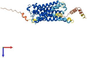 PTGFR Protein (AA 1-366) (His tag)