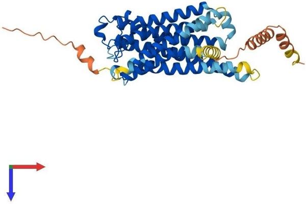 PTGFR Protein (AA 1-366) (His tag)