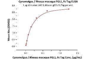 Immobilized Human LAG-3, Mouse IgG2a Fc Tag (ABIN5674633,ABIN6253716) at 10 μg/mL (100 μL/well) can bind Cynomolgus / Rhesus macaque FGL1, Fc Tag (ABIN6933654,ABIN6938820) with a linear range of 0.