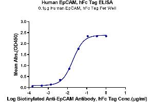 ELISA image for Epithelial Cell Adhesion Molecule (EPCAM) (AA 24-265) protein (Fc Tag) (ABIN7274026)