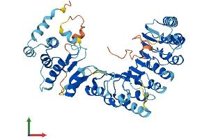 AlphaFold protein structure predicition of Human Recombinant PRAMEF18 Protein, UniprotID Q5VWM3