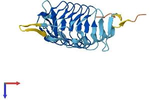 DCTN5 Protein (AA 1-182) (His tag)