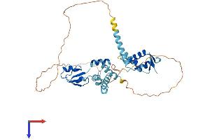 LYAR Protein (AA 1-388) (His tag)