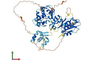 Protein Structure (PS) image for MUS81 Endonuclease Homolog (MUS81) (AA 1-551) protein (His tag) (ABIN7564831)