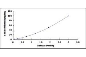 Typical standard curve (GGT5 ELISA Kit)