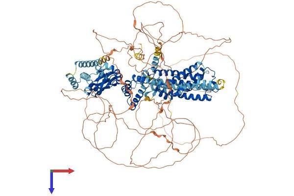 HCN4 Protein (AA 1-1203) (His tag)