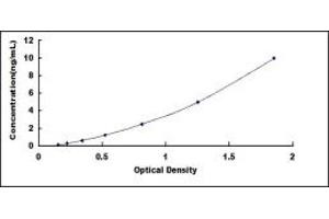 Typical standard curve (LAG3 ELISA Kit)