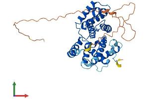 Protein Structure (PS) image for Cyclin O (CCNO) (AA 1-352) protein (His tag) (ABIN7562793)