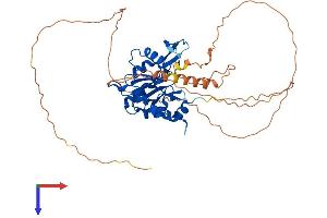 CTDSPL2 Protein (AA 1-465) (His tag)