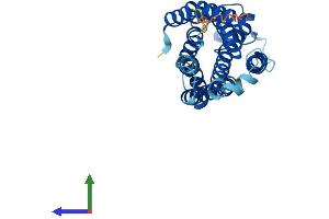 AlphaFold protein structure predicition of Mouse Recombinant Ffar1 Protein, UniprotID Q76JU9