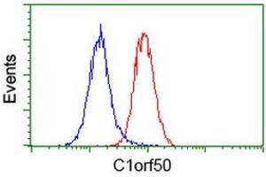 Flow cytometric Analysis of Hela cells, using anti-C1orf50 antibody (ABIN2454573), (Red), compared to a nonspecific negative control antibody, (Blue). (C1ORF50 Antikörper)