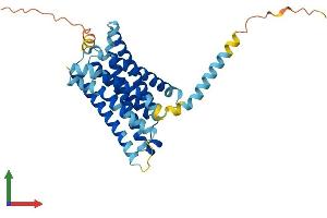 Protein Structure (PS) image for G Protein-Coupled Receptor MRGX2 (MRGPRX2) (AA 1-330) protein (His tag) (ABIN7554613)