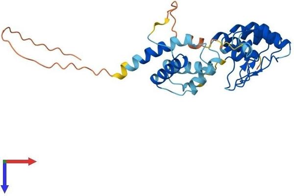 ACBD6 Protein (AA 1-282) (His tag)