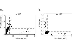 Correlation between anti-HMGB1 and anti-HMGB2 (A), and anti-HSA (B) IgG titers. (Kaninchen anti-Human IgG (Heavy & Light Chain) Antikörper (HRP))
