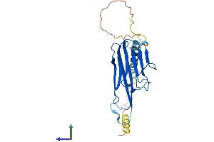 AlphaFold protein structure predicition of Mouse Recombinant Tnf Protein, UniprotID P06804 (TNF alpha Protein (AA 1-235) (His tag))