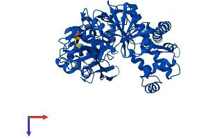 FGGY Protein (AA 1-551) (His tag)