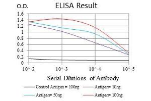 Black line: Control Antigen (100 ng), Purple line: Antigen(10 ng), Blue line: Antigen (50 ng), Red line: Antigen (100 ng), (RPS6KB1 Antikörper)