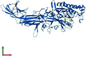 Protein Structure (PS) image for Peptidyl Arginine Deiminase, Type II (PADI2) (AA 1-665) protein (His tag) (ABIN7550547)