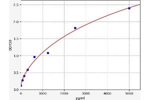 Advanced Glycosylation End Product-Specific Receptor (AGER) ELISA Kit