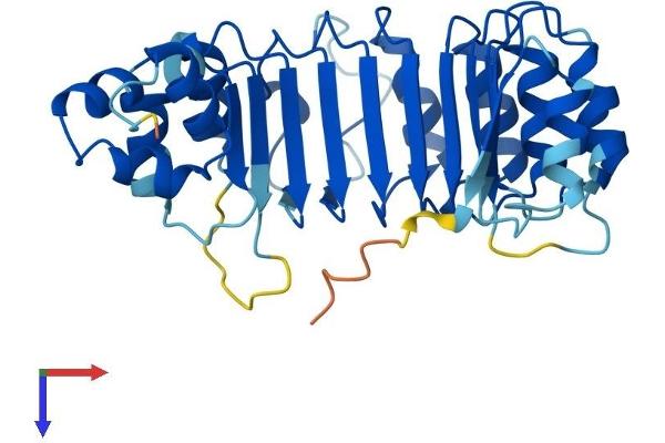 FBXL12 Protein (AA 1-326) (His tag)