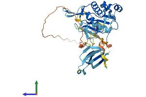 AlphaFold protein structure predicition of Mouse Recombinant Mmp23 Protein, UniprotID O88676 (Matrix Metallopeptidase 23 (MMP23) (AA 1-391) protein (His tag))