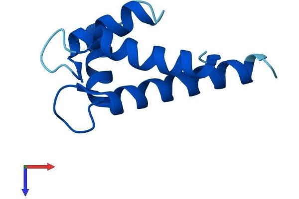 S100A5 Protein (AA 1-92) (His tag)