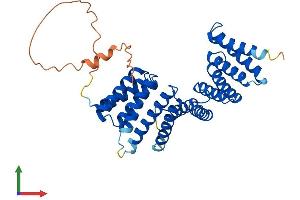 AlphaFold protein structure predicition of Human Recombinant TTC23L Protein, UniprotID Q6PF05