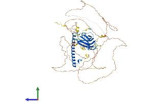 Protein Structure (PS) image for RAB11 Family Interacting Protein 5 (Class I) (RAB11FIP5) (AA 1-645) protein (His tag) (ABIN7559725)
