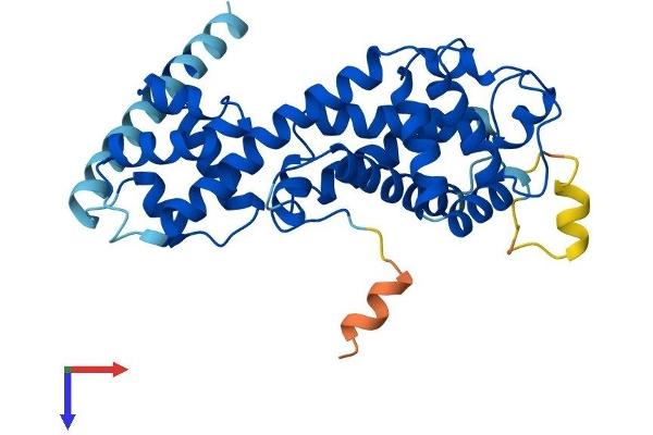 ELMOD1 Protein (AA 1-326) (His tag)