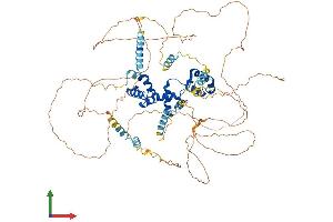 Protein Structure (PS) image for Myb-Like Protein 1 (MYBL1) (AA 1-752) protein (His tag) (ABIN7549628)
