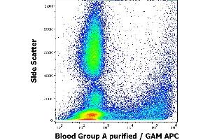 Flow cytometry surface staining pattern of human peripheral whole blood stained using anti-human Blood Group A (HE-195) purified antibody (concentration in sample 3,3 μg/mL, GAM APC). (ABO, Blood Group A Antigen Antikörper)