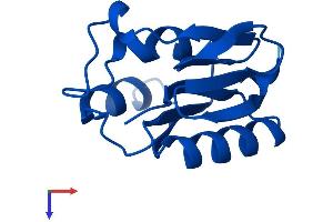 AAMDC Protein (AA 1-122) (His tag)