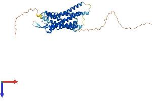 Neuromedin B Receptor (NMBR) (AA 1-390) protein (His tag)