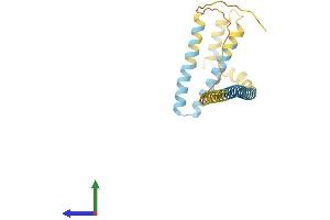 Protein Structure (PS) image for Receptor Accessory Protein 1 (REEP1) (AA 1-201) protein (His tag) (ABIN7551322)