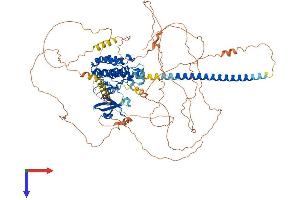 MAP3K12 Protein (AA 1-888) (His tag)