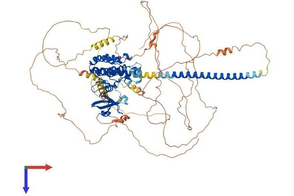 MAP3K12 Protein (AA 1-888) (His tag)