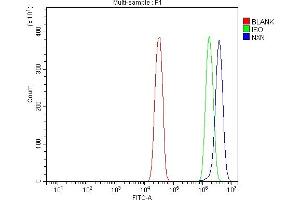 Flow Cytometry analysis of SiHa cells using anti-NXN/NRX antibody (ABIN7600416).